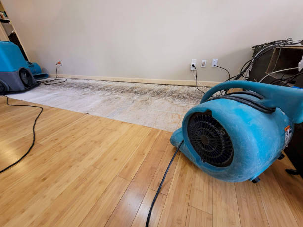 Professional Water Removal technician working in Mount Olive, MS